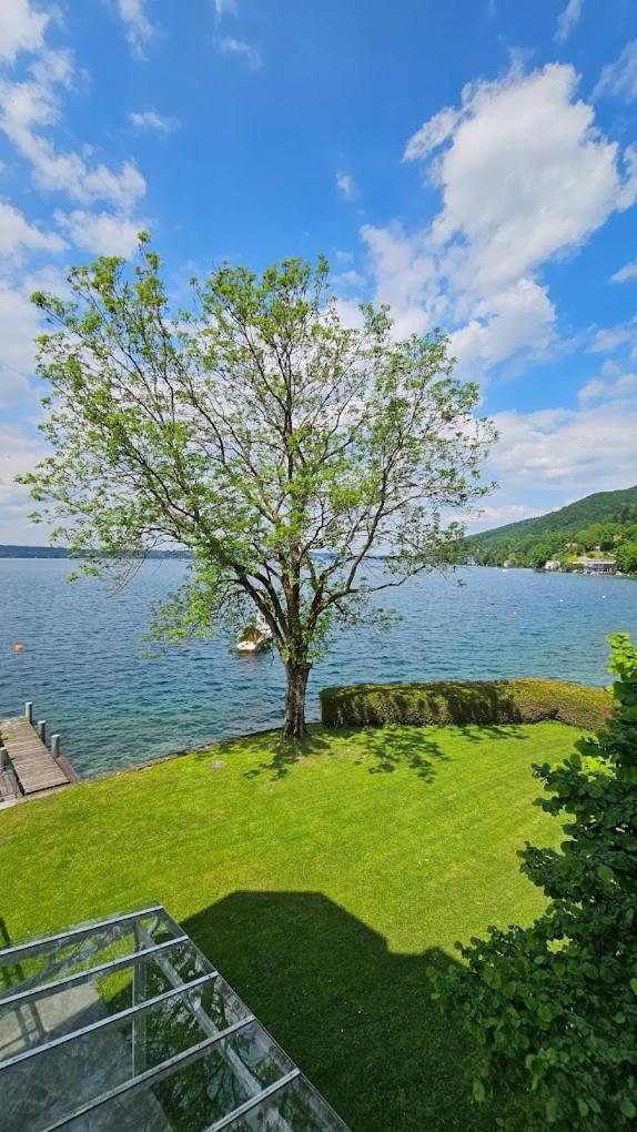 Gasthof Mit Seeterasse & Appartements Zur Landeroith Weyregg Εξωτερικό φωτογραφία